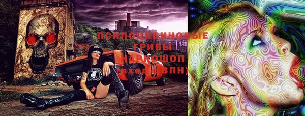 ГАЛЛЮЦИНОГЕННЫЕ ГРИБЫ Алзамай