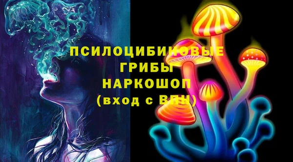 ГАЛЛЮЦИНОГЕННЫЕ ГРИБЫ Алзамай