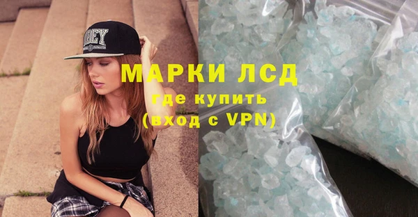 прущие грибы Абаза