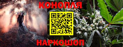 стафф Дубна