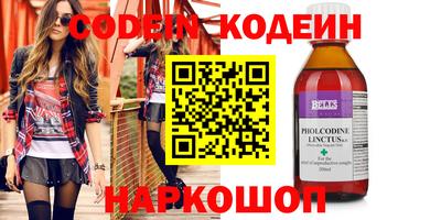 стафф Дубна