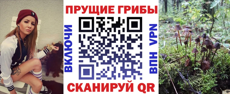 Галлюциногенные грибы мухоморы  купить  цена  Людиново 